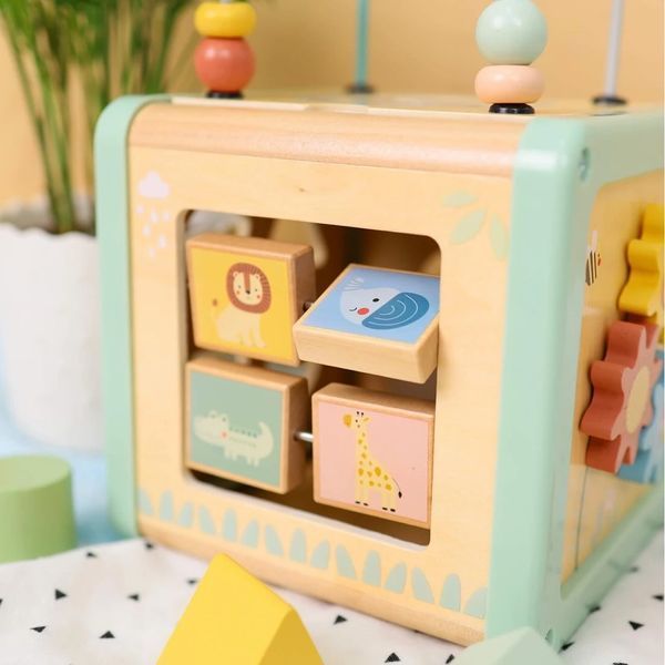 Дерев'яна іграшка Бізікуб 5 в 1 Tooky Toy  081 фото